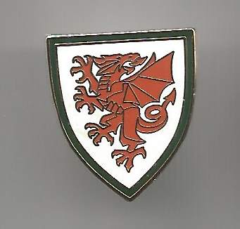 Pin Fussballverband Wales 2